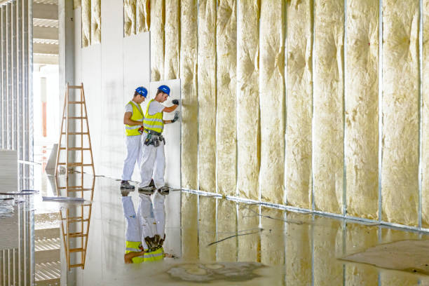 Professional Insulation Contractor in Westlake, LA